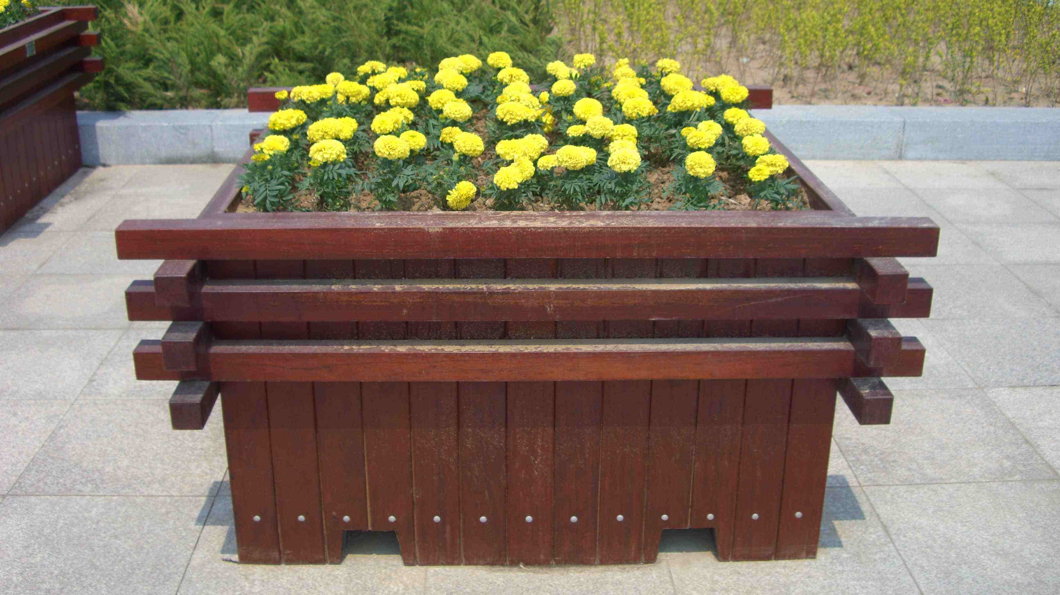 大连木结构香蕉成视频人APP