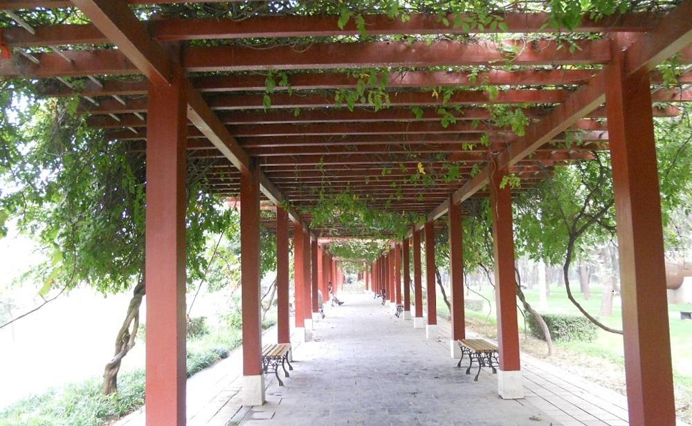 大连防腐91香蕉污视频