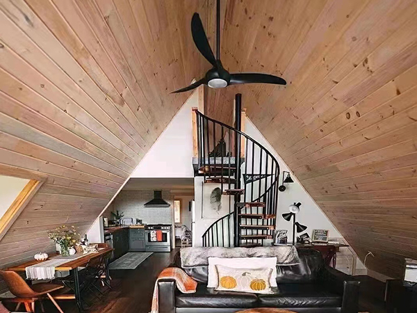 大连防腐91香蕉污视频